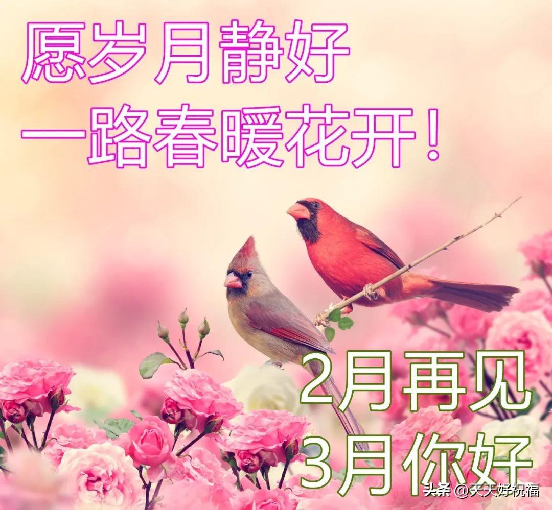 告别二月迎接三月阳光励志早安祝福语图文精选