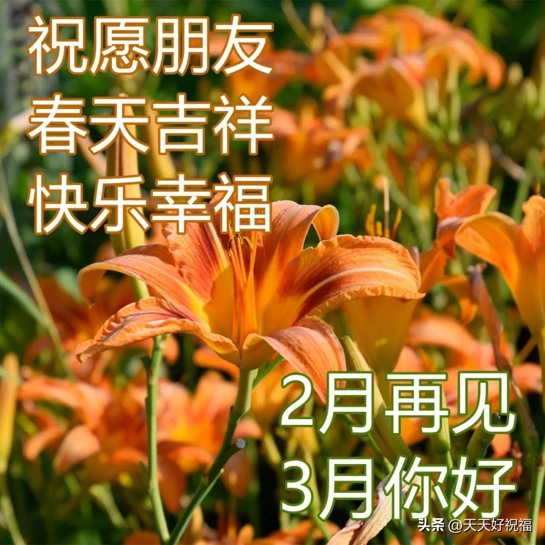 告别二月迎接三月阳光励志早安祝福语图文精选
