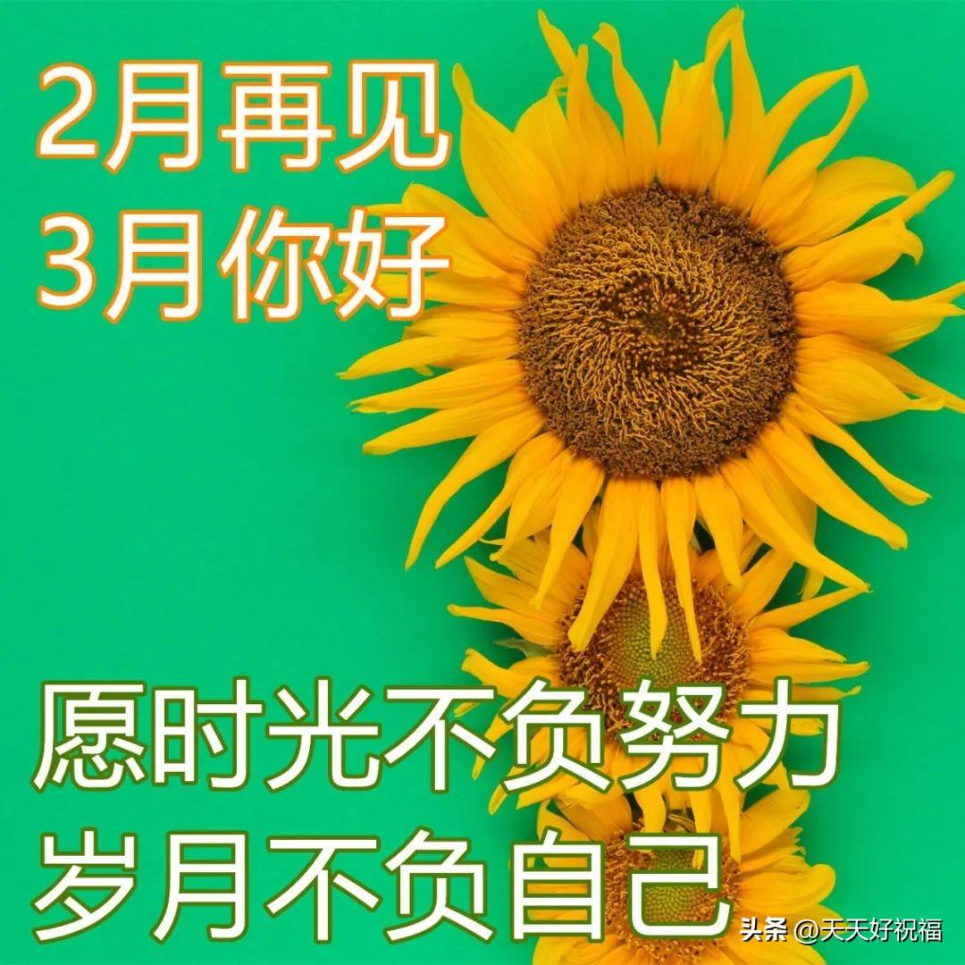 告别二月迎接三月阳光励志早安祝福语图文精选