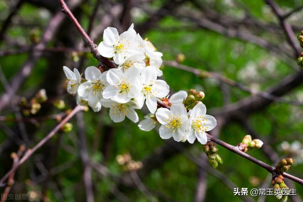 关于描写三月的古诗词精选10首
