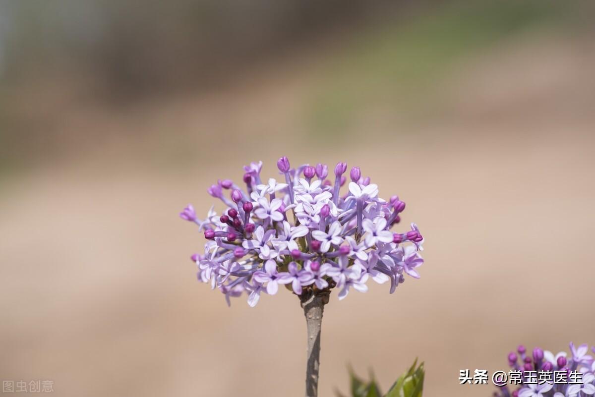 关于描写三月的古诗词精选10首